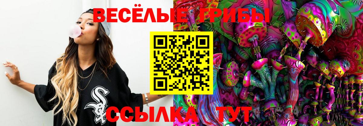 Псилоцибиновые грибы мухоморы  Вход с VPN  Дальнереченск  Псилоцибиновые грибы мицелий 
