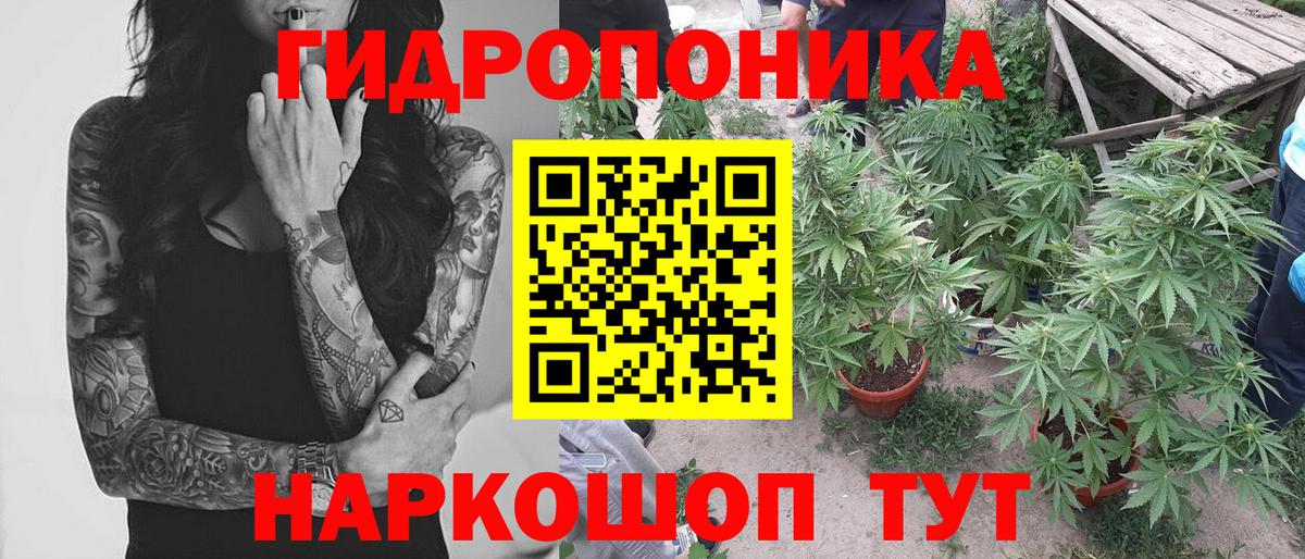 Марихуана марихуана  Вход с VPN  Бошки Шишки Bruce Banner  Марихуана гибрид  Дальнереченск  Шишки марихуана тримм 